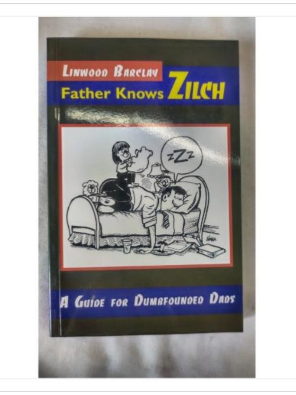 Father Knows Zilch A Guide for Dumbfounded Dads Humor Stoddart 1st 1996 PB